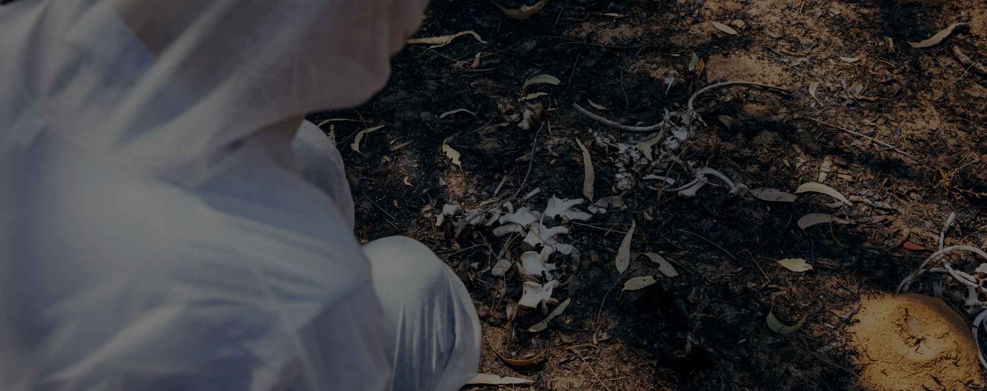 New York Biohazard & Crime Cleanup Services